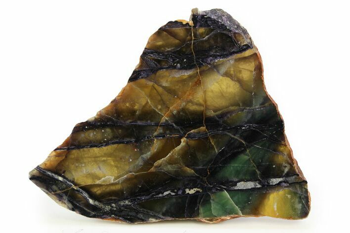 Colorful, Polished Fluorite and Sodalite Slab - Mozambique #304988